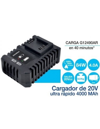 Cargador    Para  Baterias  * Ion Litio 20 V /4000 Mah  84 W    " Gamma " Ultra Rapido