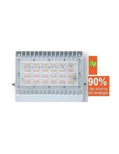 Luminaria   Reflector  * Led      100 W   750 W  * Calido  3000k  12000 L " Richi "