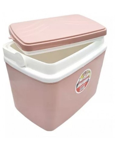 Conservadora    15   Lts   25 * 37 * 33     Color  * Rosa   Coral        " Gemplast "