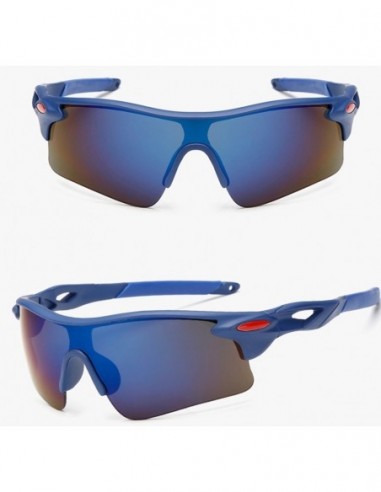 Anteojo    * Ciclista 91981    Marco  Azul      Lente Fume    * Imported
